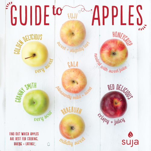 Guide to Apples