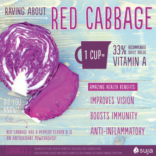 Udgravning Seletøj Bytte Health Benefits of Red Cabbage - Suja Juice